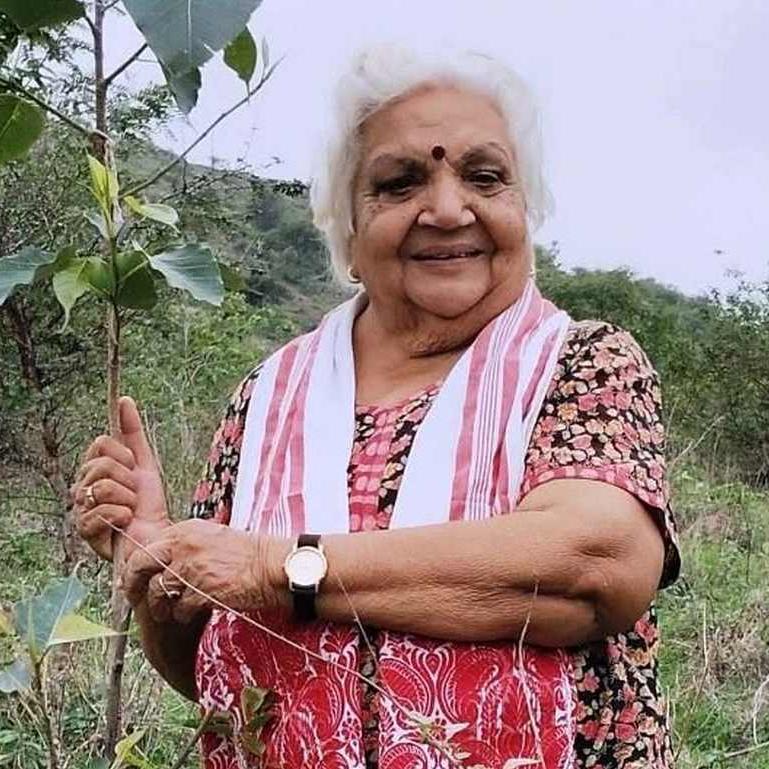 पर्यावरण संरक्षण और सामाजिक सद्भाव का अनूठा संगम: जनक दीदी का रक्षा-बंधन उत्सव पर्यावरण संरक्षण और सामाजिक सद्भाव का अनूठा संगम: जनक दीदी का रक्षा-बंधन उत्सव